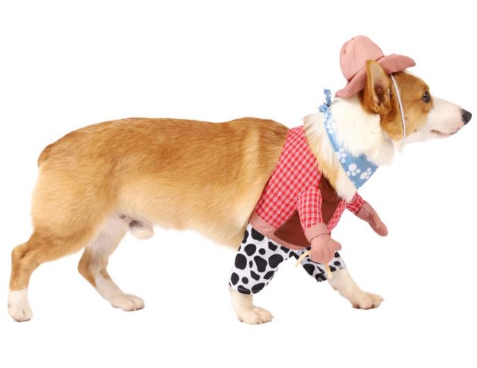 Dog Cowboy Costume 