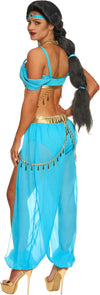 Adult Arabian Princess Costume, Halloween Costume Women