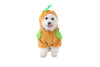 Pumpkin Pet Costume